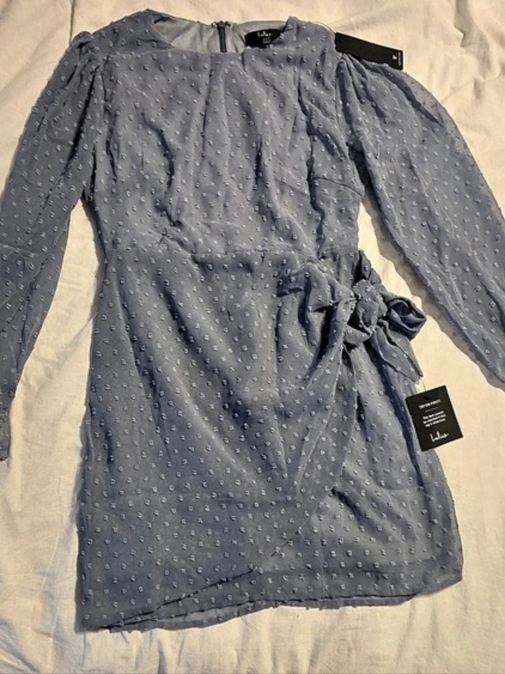 Lulus Much Love Light Blue Swiss Dot Long Sleeve Tie-Front Mini Dress Tie-Front